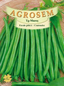 Contender 500g - Seminte fasole pitica verde, fara ate, pastaie cilindrica, Agrosem